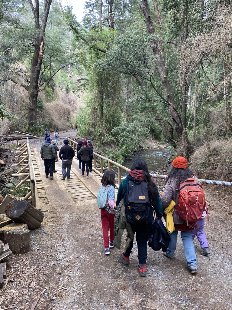 Terreno en el cerro