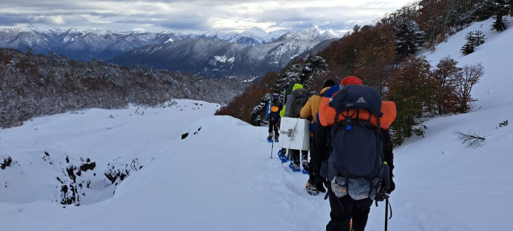 Imágenes del campamento instalado en una altitud de 2 mil metros y de la caminata hacia el lugar de la extracción a unos 2.400 msnm